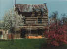 housebefore10.jpg (65446 bytes)