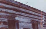 housebefore4.jpg (86213 bytes)
