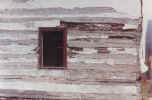 housebefore5.jpg (110375 bytes)